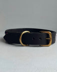 Tumbili Dog Collar