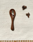 Mini Spice Spoon