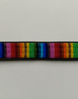 Rainbow Beaded Belt