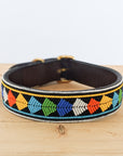 Twiga Dog Collar
