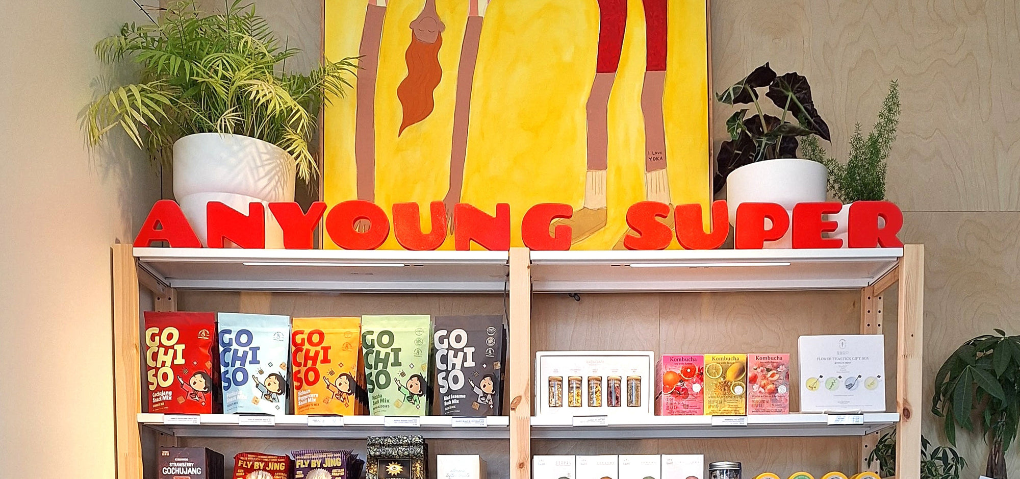 Anyoung Super display