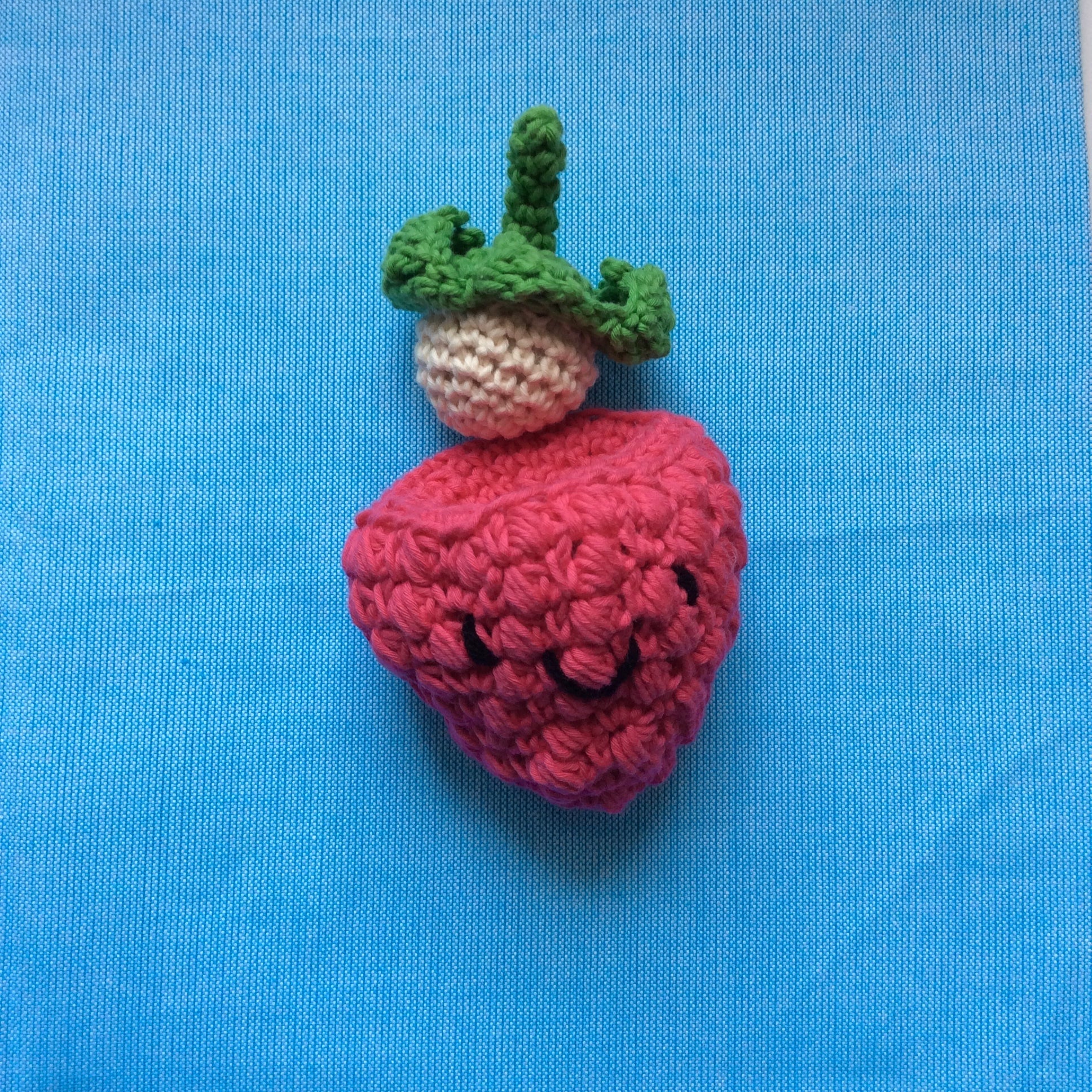 プロビジョンズ ヘチマスポンジたわし