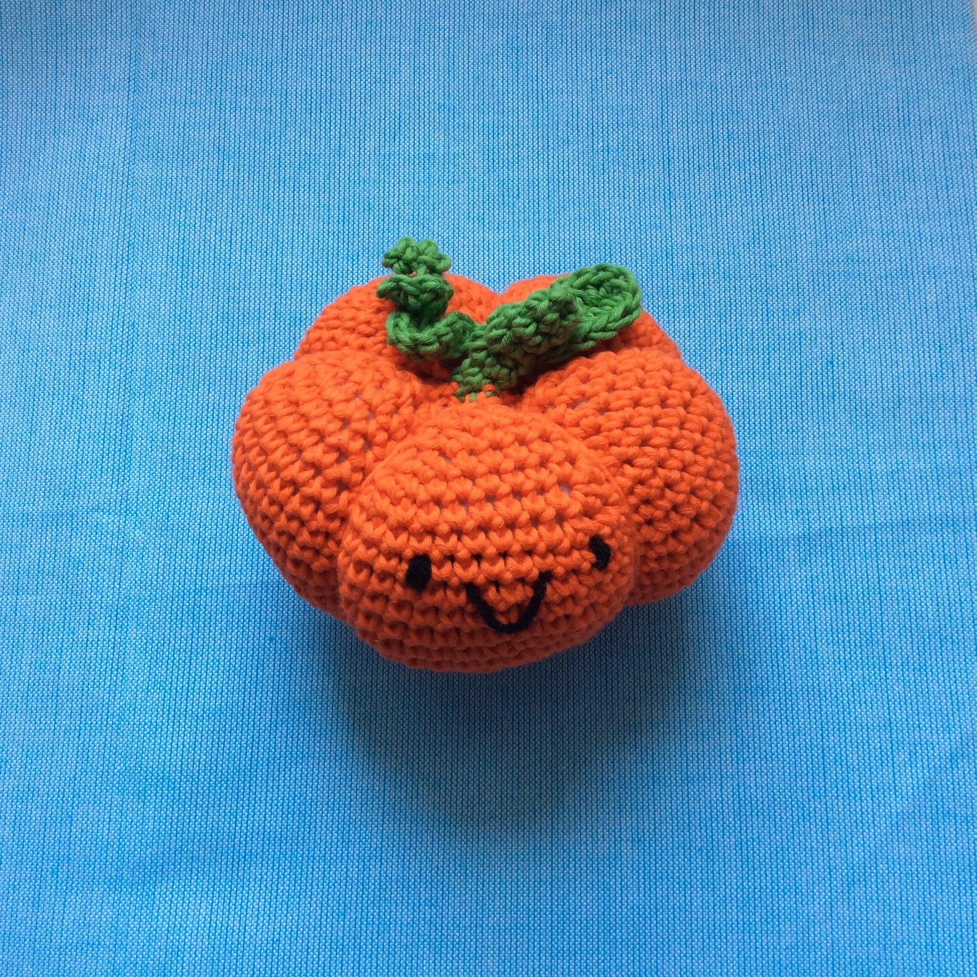 プロビジョンズ ヘチマスポンジたわし