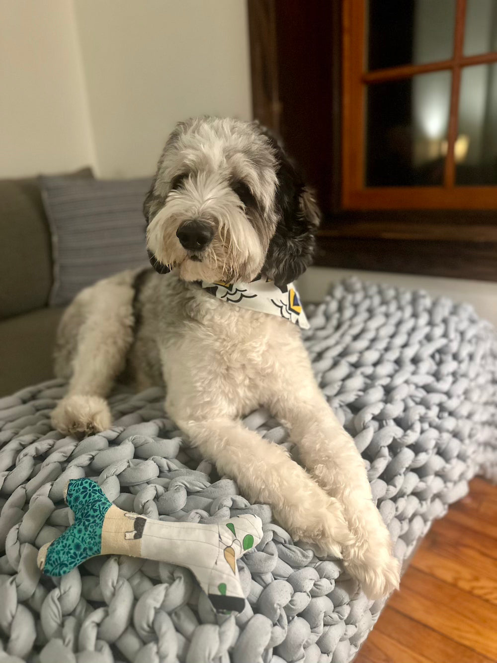 Provisions Cotton Dog Bone Toy