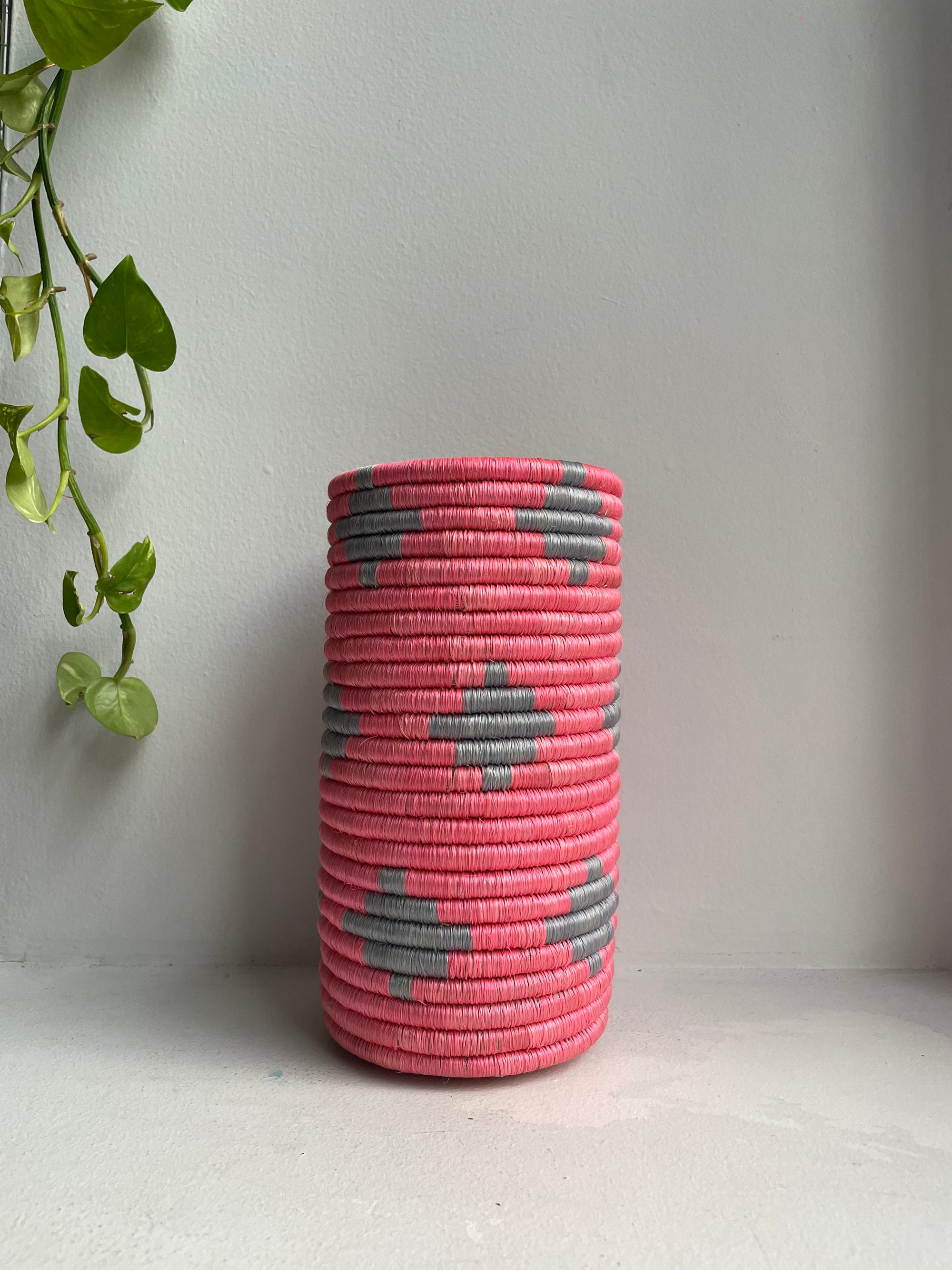 Display of hot pink and dirty blue vase