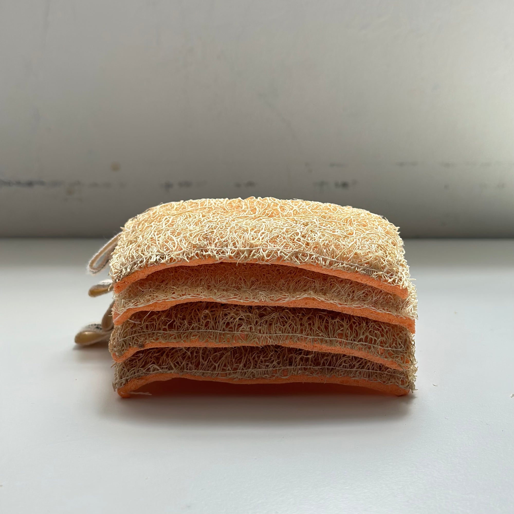 イザベルマラントラムレザー ライダース36 イザベルマラントラムレザー ライダース36