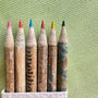 display of colored pencils