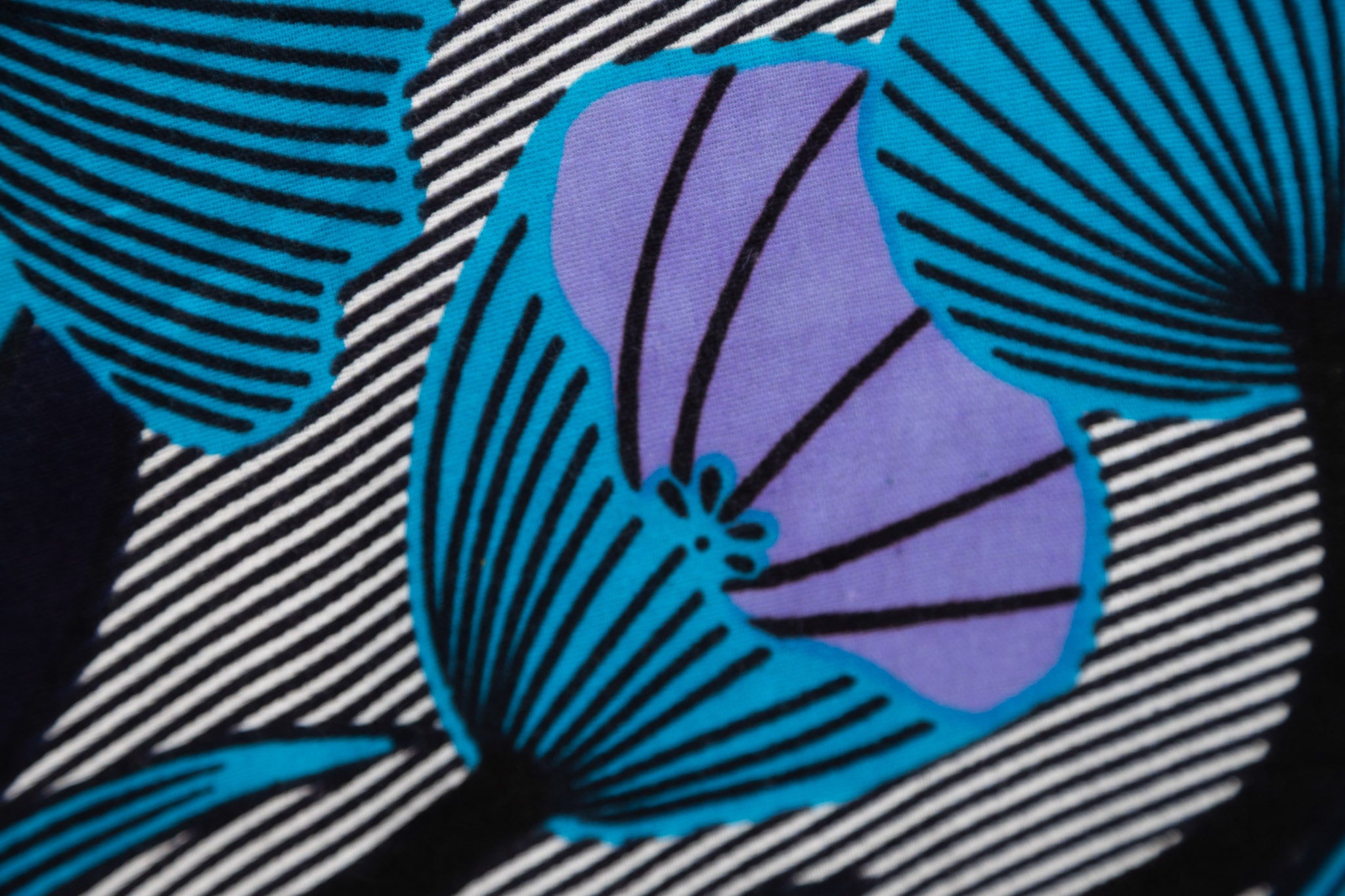Nympheas – Zuri